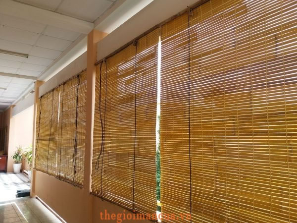 R&egrave;m m&agrave;nh nan tre nứa tr&uacute;c